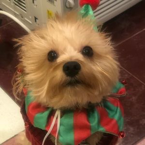 Meet your Posher, Marco